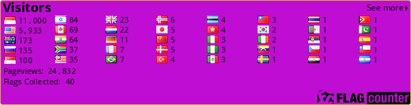 Flag Counter