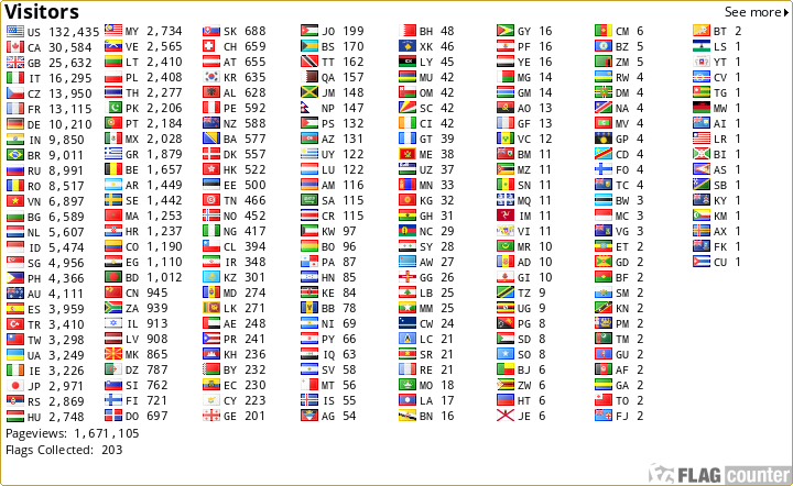 Flag Counter