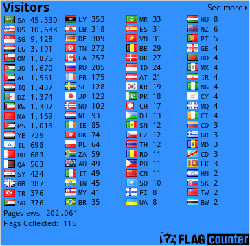 Flag Counter