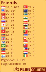 Flag Counter