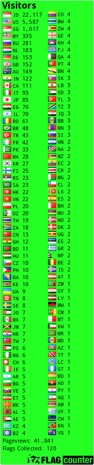 Flag Counter