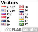 Visitor