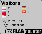 Flag Counter