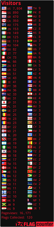 Flag Counter