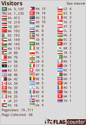 Flag Counter