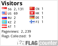 Flag Counter