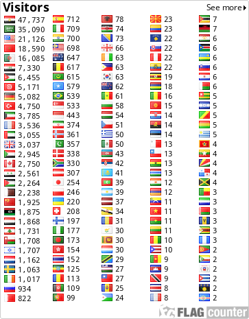 Flag Counter