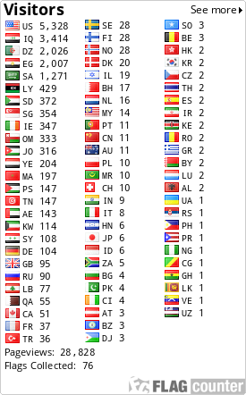 Flag Counter