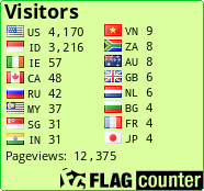 Flag Counter