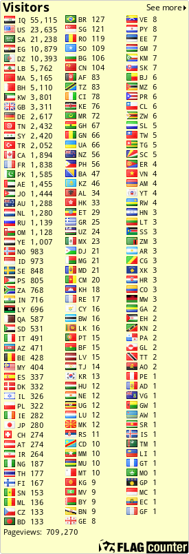 Flag Counter