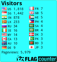 Flag Counter