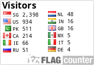 Flag Counter