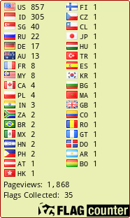 Flag Counter