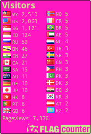 Flag Counter