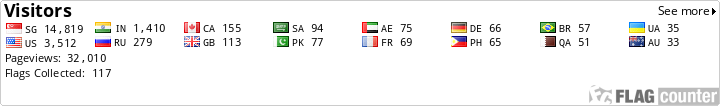 Flag Counter
