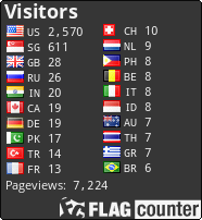 Flag Counter
