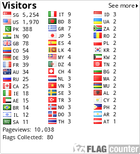 Flag Counter