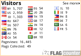 Flag Counter
