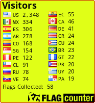 Flag Counter