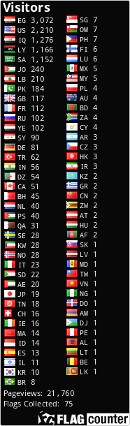 Flag Counter