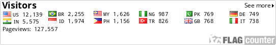 Flag Counter