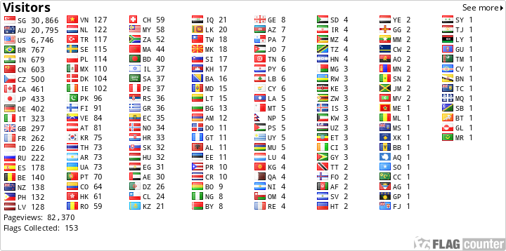 Flag Counter