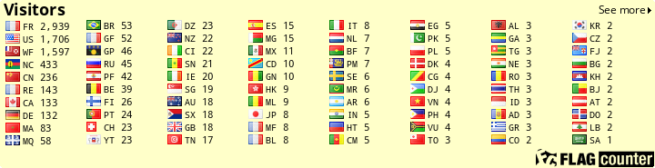 Flag Counter