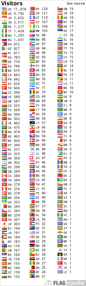 Flag Counter