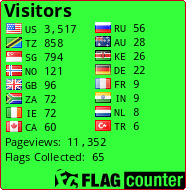 Flag Counter