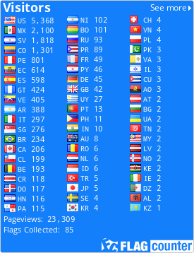 Flag Counter