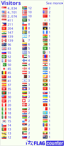 Flag Counter