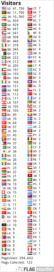 Flag Counter