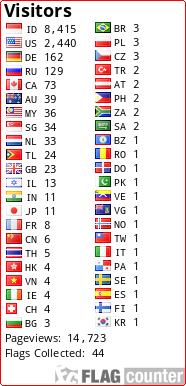 Flag Counter