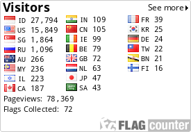 Flag Counter