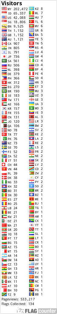 Flag Counter