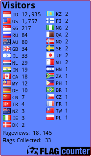 Flag Counter