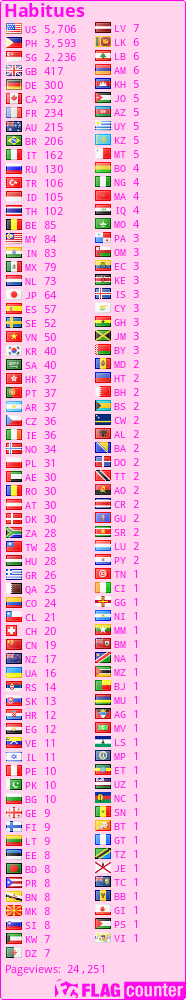 Flag Counter