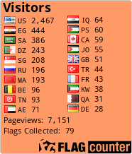 Flag Counter