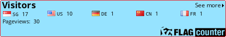 Flag Counter