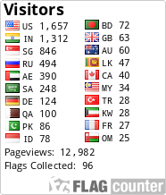 Flag Counter