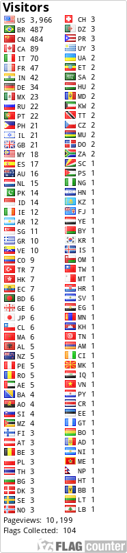 Flag Counter