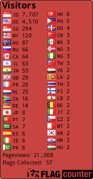 Flag Counter