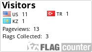 Flag Counter