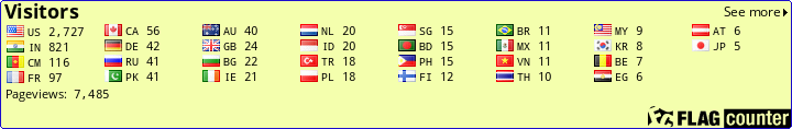 Flag Counter