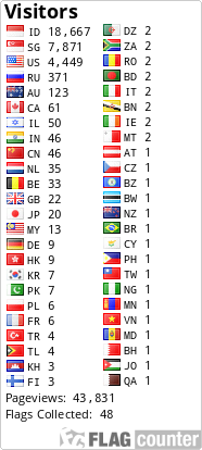 Flag Counter