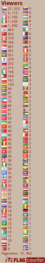 Flag Counter
