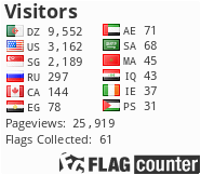 Flag Counter