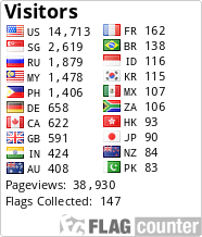 Flag Counter