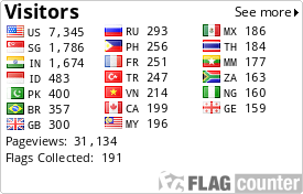 Flag Counter