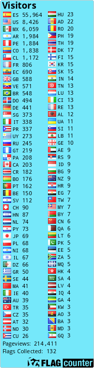 Flag Counter